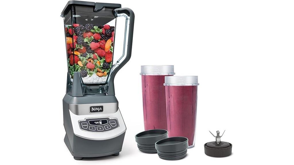 professional smoothie and food blender