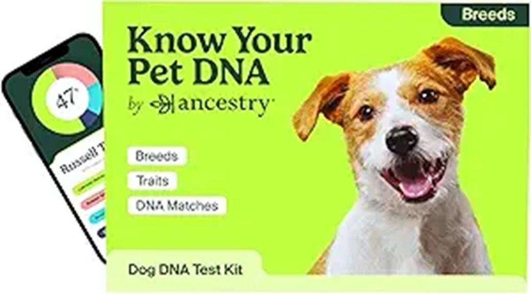 dog breed and traits analysis
