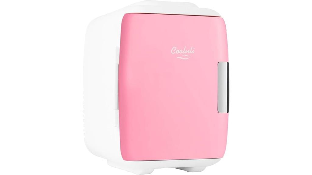portable small fridge