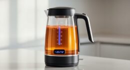 top electric kettles with temperature