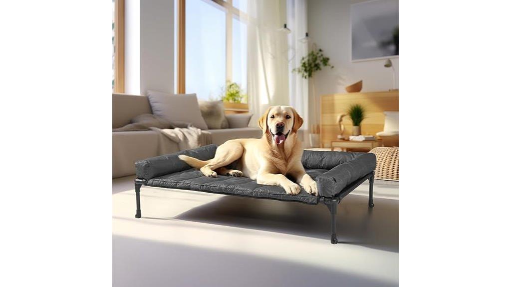 black elevated dog bed