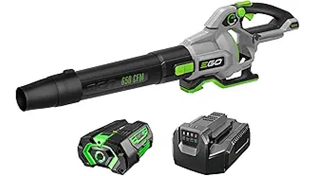 cordless leaf blower set