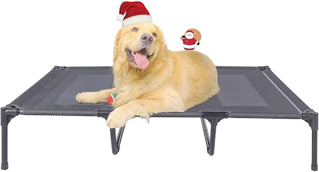 large elevated dog bed