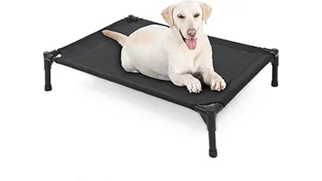 large elevated dog bed