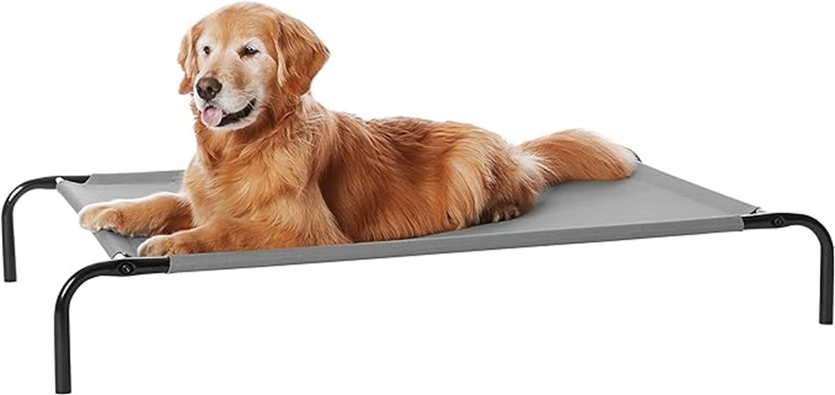 large elevated dog bed