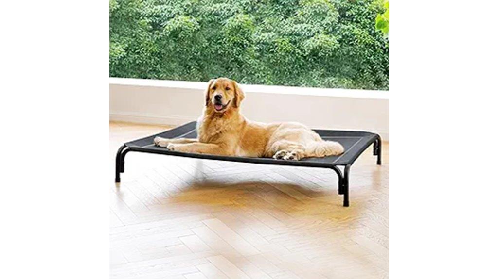 large elevated dog bed