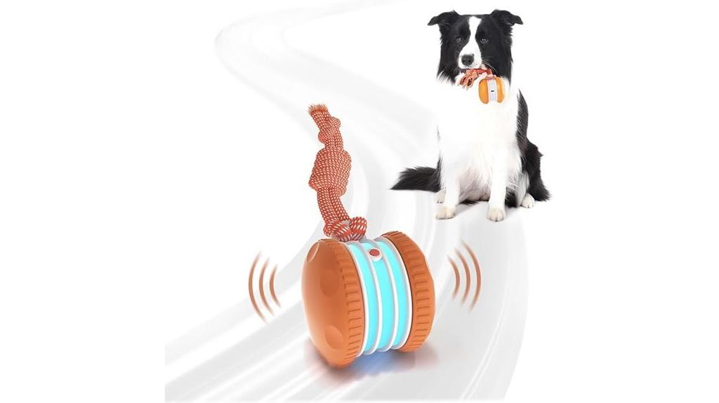 motion activated dog toy