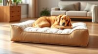top orthopedic dog beds
