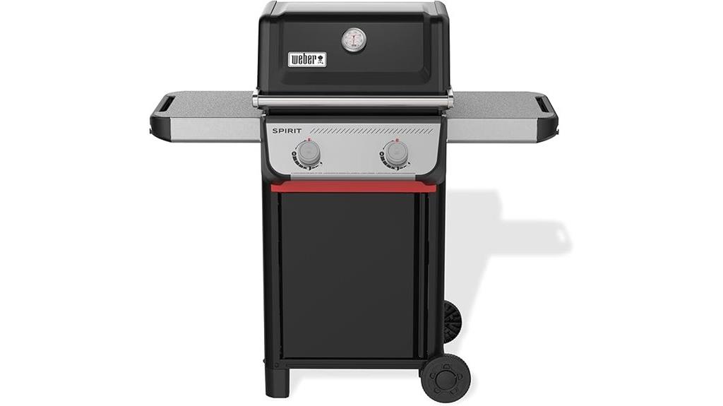 two burner propane grill