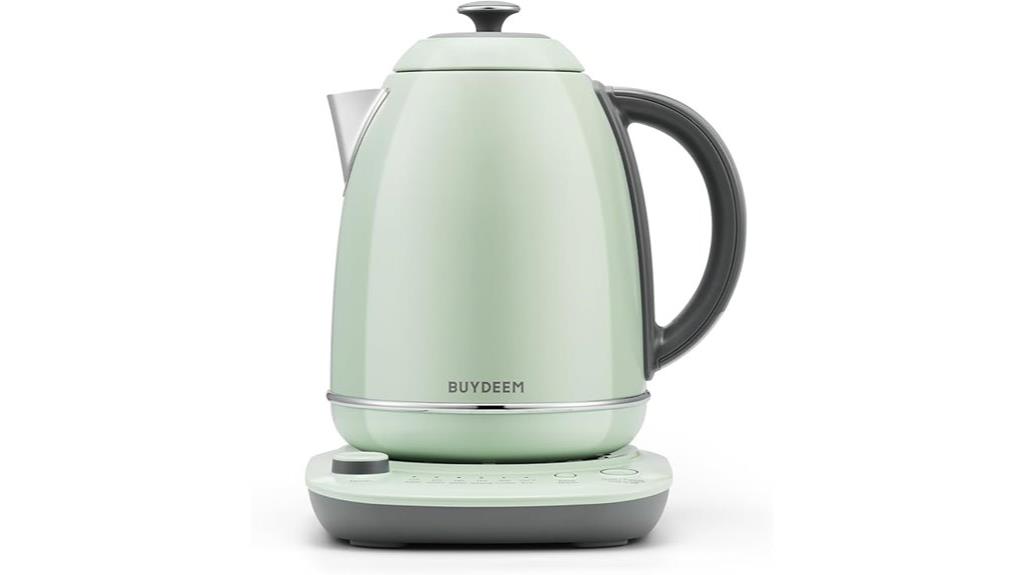 electric kettle with temperature control