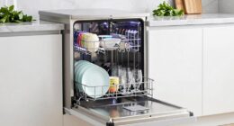 dishwasher capabilities and limitations