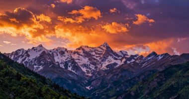 hdr formats comparison details