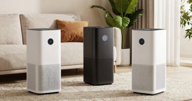 large room air purifiers