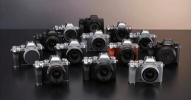 top aps c cameras 2026