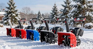 top electric snow blowers