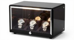 top four watch winders