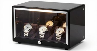 top four watch winders