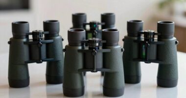 top stabilized binoculars