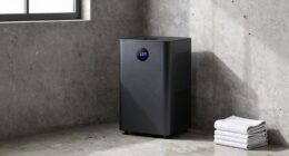 basement dehumidifier sizing tips