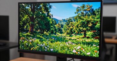 monitor color calibration standards