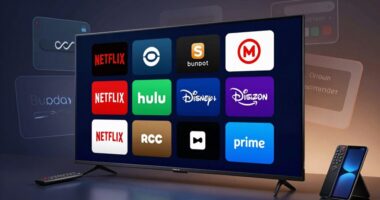 subscription plans and pricing