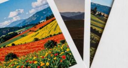 variety of paper options