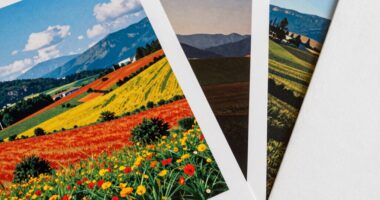 variety of paper options