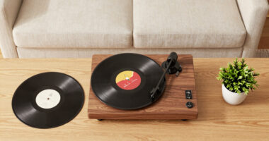 10 Best Record Player Stand With Storage in 2026