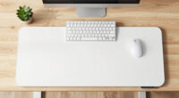 11 Best Electric Standing Desk 60x30 in 2026