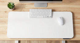 11 Best Electric Standing Desk 60x30 in 2026