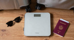 15 Best Travel Luggage Scale Digital in 2026