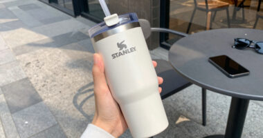 20-Oz STANLEY Quencher ProTour Flip Straw Tumbler w/ Leakproof Lid $15