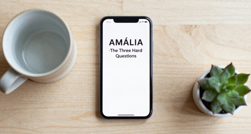 AMÁLIA · The Three Hard Questions.
