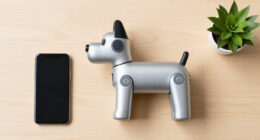 11 Best Robot Dogs in 2026
