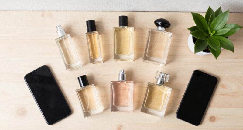 14 Best Dense Perfumes in 2026