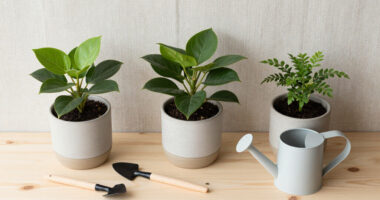 15 Best Low-Maintenance Houseplants in 2026