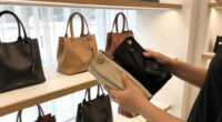 6 Best Multi-Bag Fashion Accessories in 2026