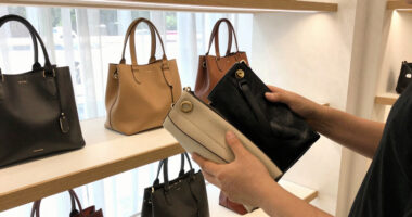 6 Best Multi-Bag Fashion Accessories in 2026