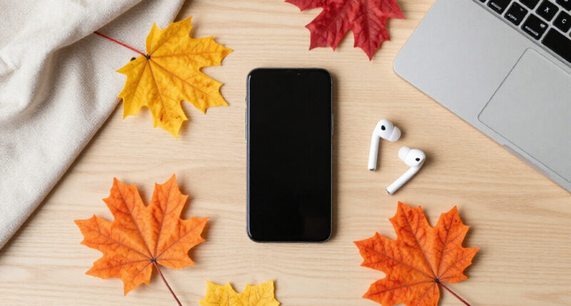 13 Best Faux Fall Foliage in 2026