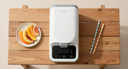 14 Best Shaved Ice Machines in 2026