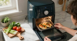8 Best Air Fryer Toaster Ovens in 2026