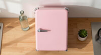 12 Best Retro Mini Fridges in 2026