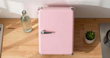 12 Best Retro Mini Fridges in 2026
