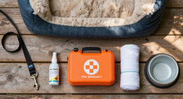 13 Best Pet Emergency Preparedness Kits in 2026
